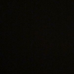 Meet your Posher, Preston